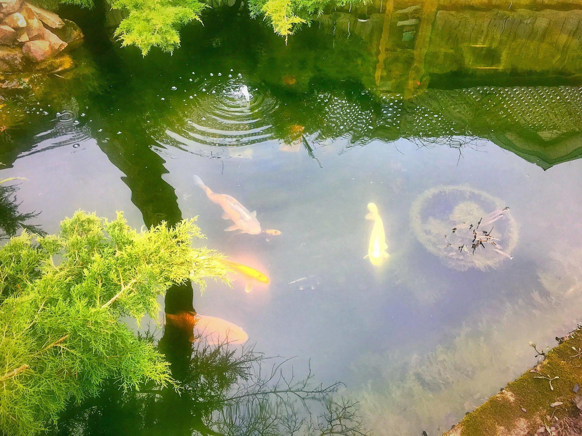 Blue Gables 3*